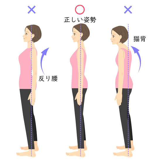 骨盤の重要性