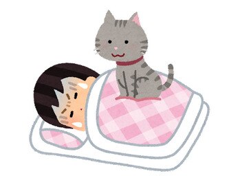 みなさん睡眠しっかりとれておりますか？